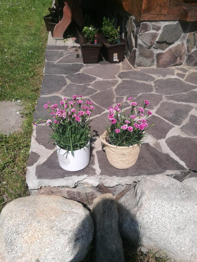Ferienwohnung Drevenica Zapadne Tatry S Kupacou Kadou A Krbom Žiar Exterior foto