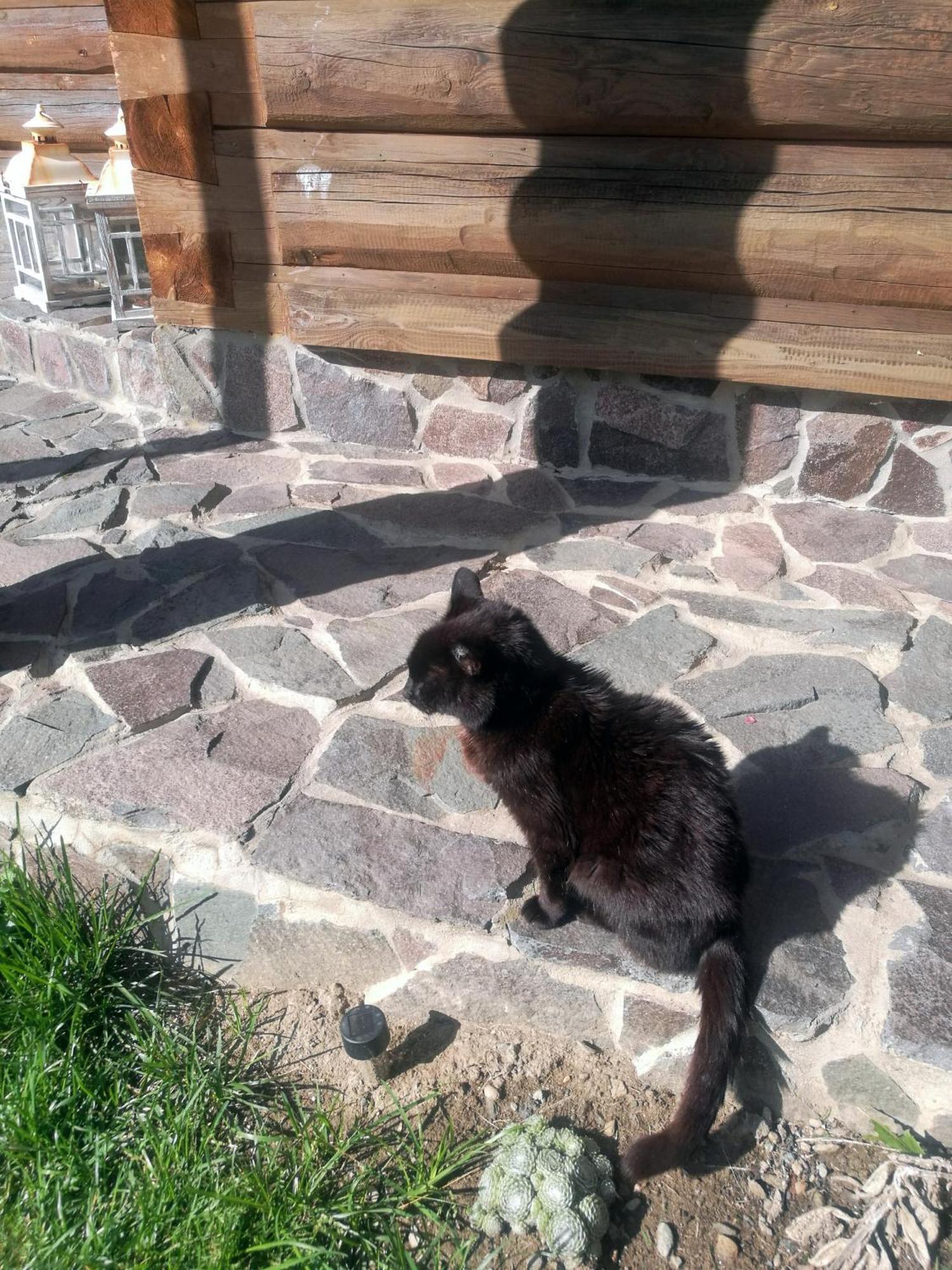 Ferienwohnung Drevenica Zapadne Tatry S Kupacou Kadou A Krbom Žiar Exterior foto
