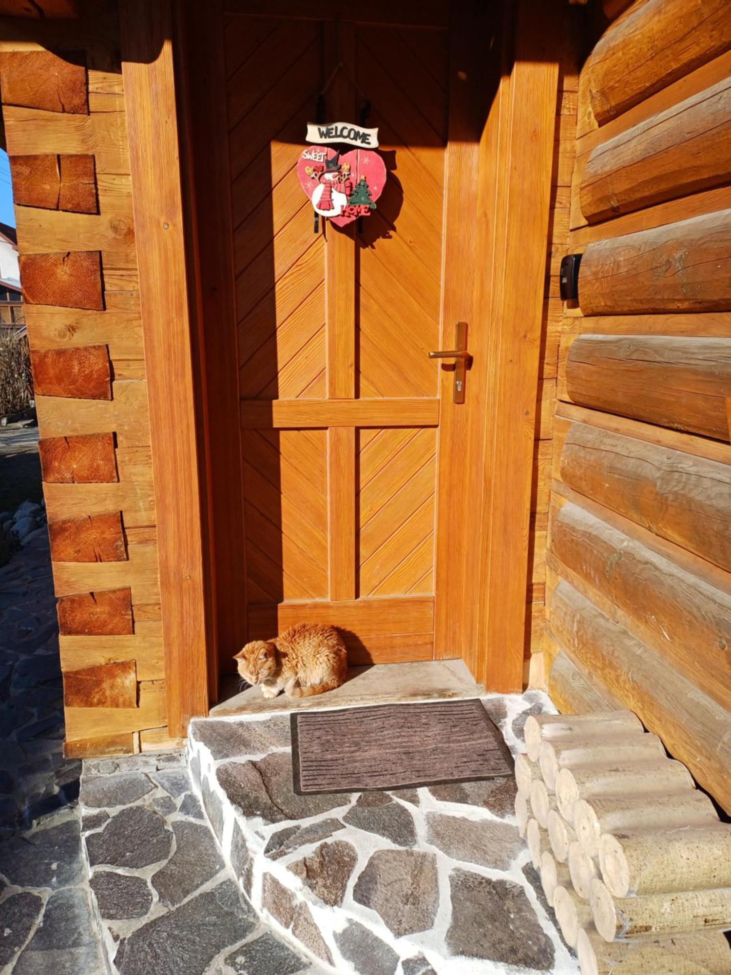 Ferienwohnung Drevenica Zapadne Tatry S Kupacou Kadou A Krbom Žiar Exterior foto