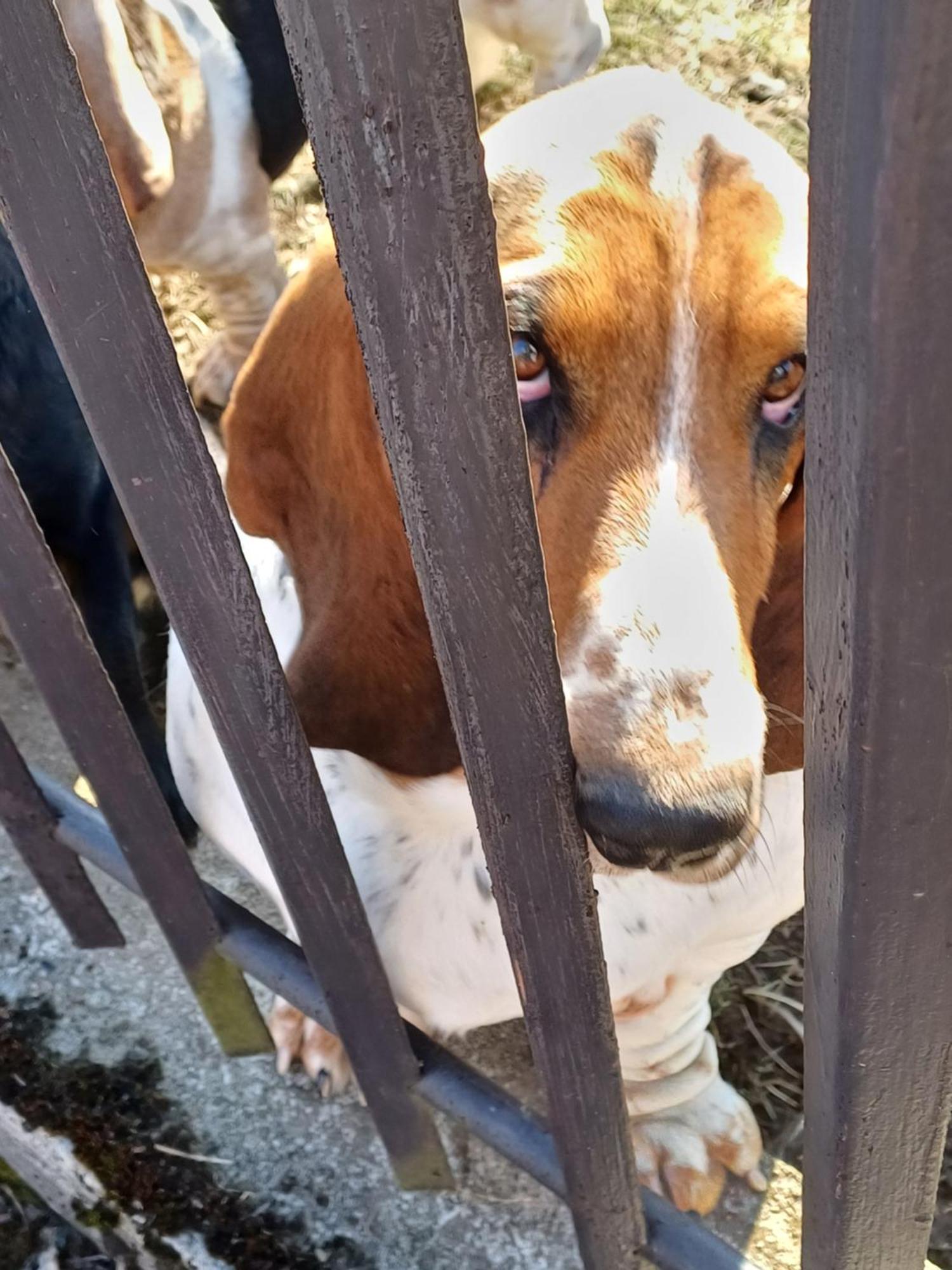 Ferienwohnung Drevenica Zapadne Tatry S Kupacou Kadou A Krbom Žiar Exterior foto